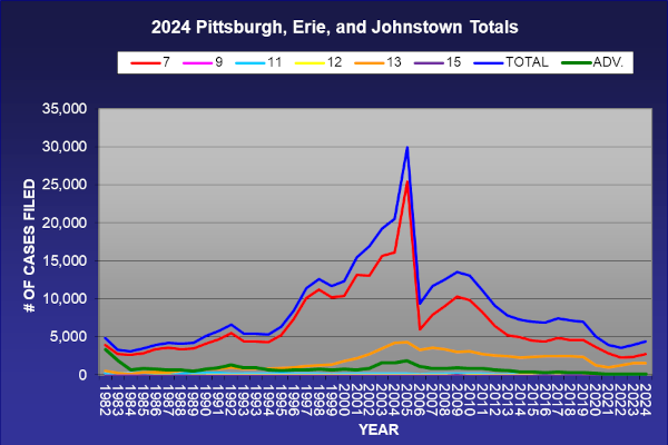 line graph of annual case filing statistics