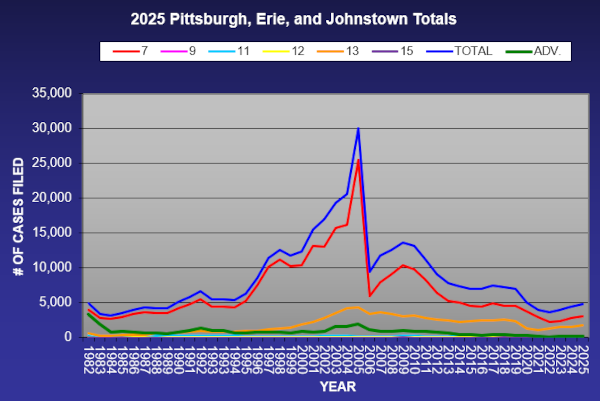 line graph of annual case filing statistics